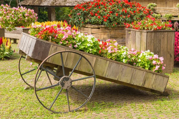 庭のトロリーやカート木製のペチュニアの花のカラフルな — ストック写真