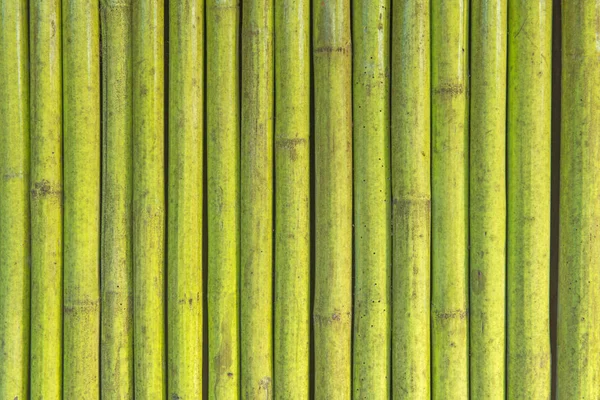 Green paint bamboo fence, texture pattern abstract for backgroun — Stock Photo, Image