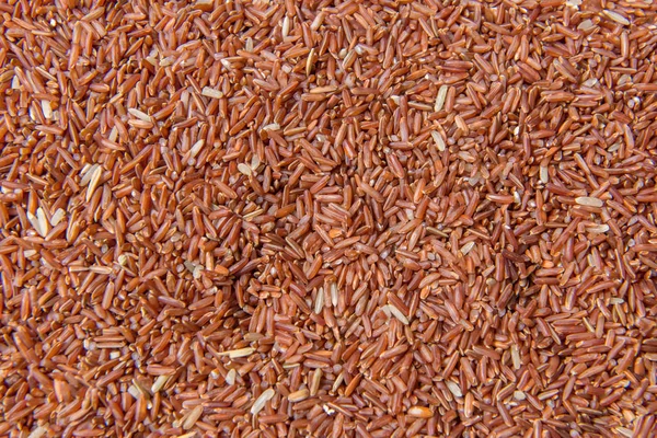 Riceberry ris eller thailändska svart jasminris — Stockfoto