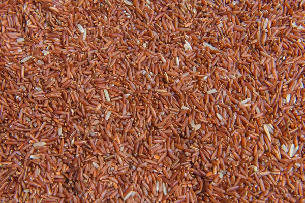 Riceberry ris eller thailändska svart jasminris — Stockfoto