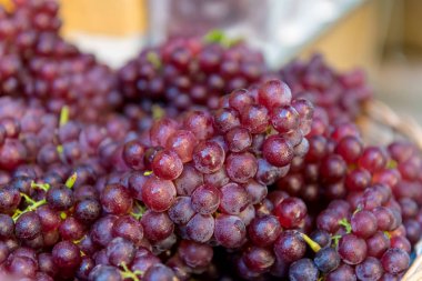 Taze kırmızı şarap üzüm veya karanlık üzüm meyve Market