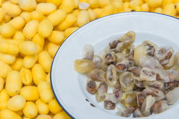 Nid de vers à soie dans un plat blanc et utilisation pour tissu de soie — Photo