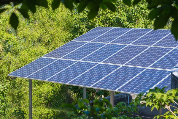 Fotovoltaické používající obnovitelné solární energie v lese — Stock fotografie