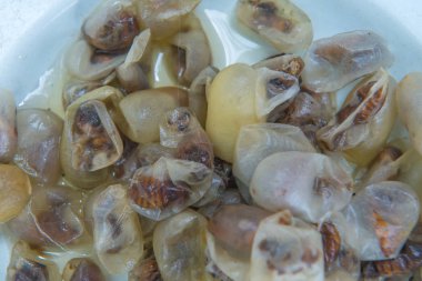 Silkworms beyaz tabak içinde iç içe geçirme ve ipek kumaş için kullanın