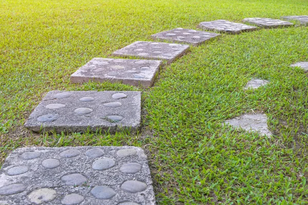 Pathway with green grass in the garden — Stock Photo, Image