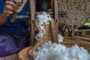 Silkworms beyaz tabak içinde iç içe geçirme ve ipek kumaş için kullanın