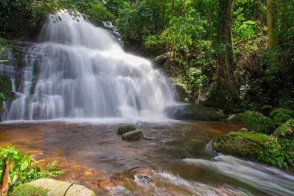 Air terjun yang indah di hutan hujan di phu tub berk gunung phu — Stok Foto