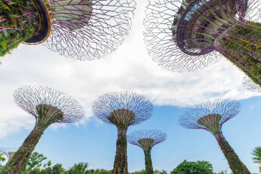 Singapur - 14 Şubat 2017: Supertrees Gardens Bay tarafından 