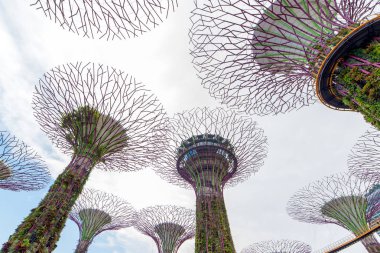 Singapur - 14 Şubat 2017: Supertrees Gardens Bay tarafından 