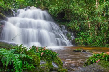 phu küvet berk dağ phet, yağmur ormanlarında güzel şelale