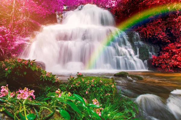 섬의 욕조 버크 산 펫에서 열대우림에 아름 다운 폭포 — 스톡 사진