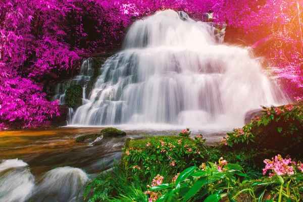 Belle cascade en forêt tropicale au phu baignoire berk montagne phet — Photo