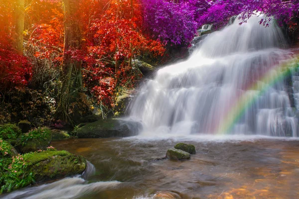 Красивый водопад в тропических лесах на горе Олух пху ванна — стоковое фото