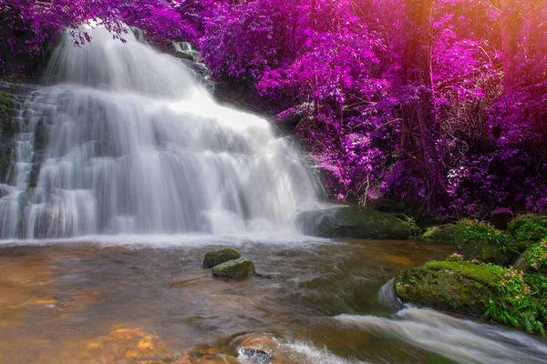 Bella cascata nella foresta pluviale a Phu vasca berk montagna phet — Foto Stock