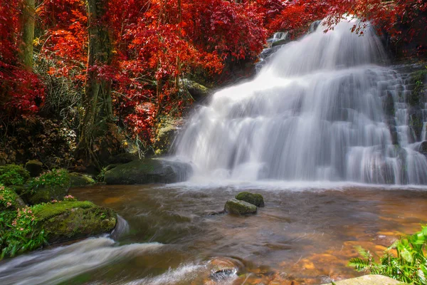 Krásný vodopád v deštném pralese v phu vana berk horské phet — Stock fotografie