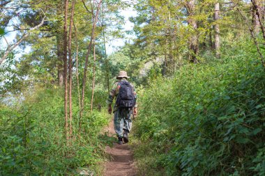 asker veya yemyeşil çim içeren bir ormanda yürürken chasseur