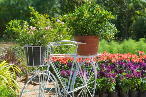 Model of bicycle equipped with basket of flowers in the garden — Stock Photo, Image