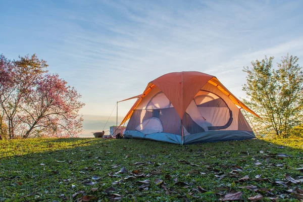 Camping tent in campground on top of mountain with sunrise at Do — Stock Photo, Image