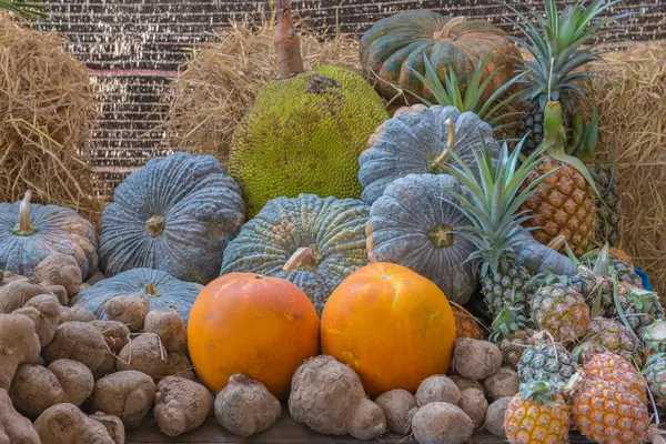 Jackfruit ananas igname taro zucca frutta in giardino — Foto Stock