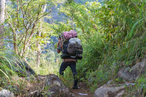 Chasseur or huntsman walking through a forest with lush grass — Stock Photo, Image