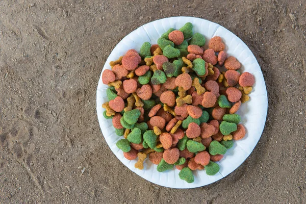 Σκύλοs τροφή σε πιάτο στο έδαφος — Φωτογραφία Αρχείου