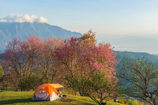 Camping tent in Camping bovenop een berg met zonsopgang in Do — Stockfoto
