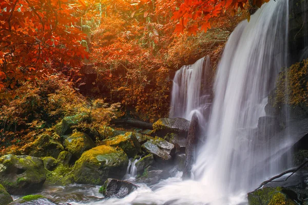 美丽的瀑布，在雨林在富浴缸伯山碧 — 图库照片