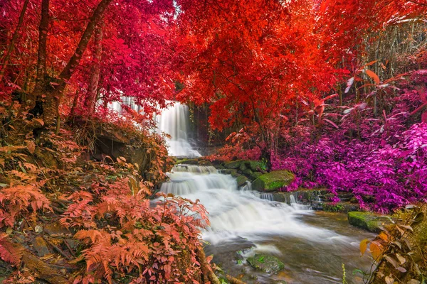 Prachtige waterval in regenwoud op phu tub berk berg phet — Stockfoto