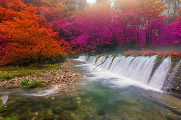 Cachoeira no fluxo de chicote dourado em Zhangjiajie National Forest P — Fotografia de Stock