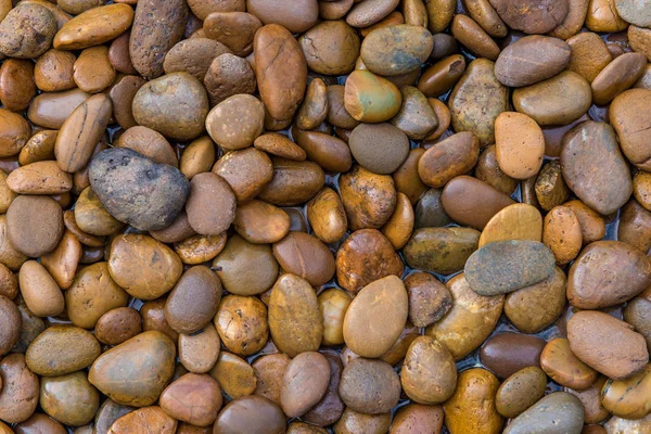 Pedras molhadas seixos escuros com gotas de água no jardim para backgroun — Fotografia de Stock