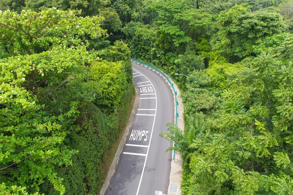 Вид на извилистую дорогу с деревьями в общественном парке . — стоковое фото