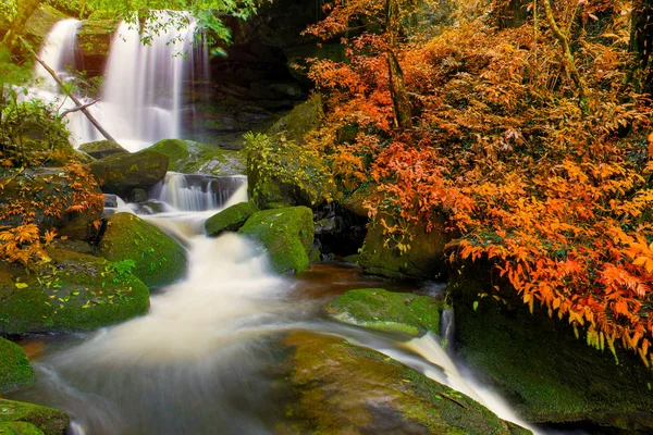 Bela cachoeira na floresta tropical em phu tub berk montanha phet — Fotografia de Stock