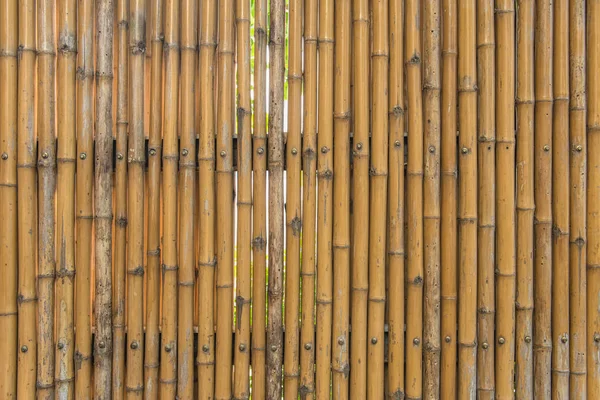 Valla de bambú patrón de textura de pared para el fondo —  Fotos de Stock
