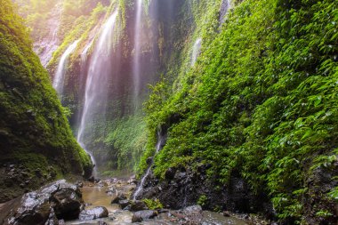 Madakaripura şelale Doğu Java, Indones Dağı Bromo yakınındaki