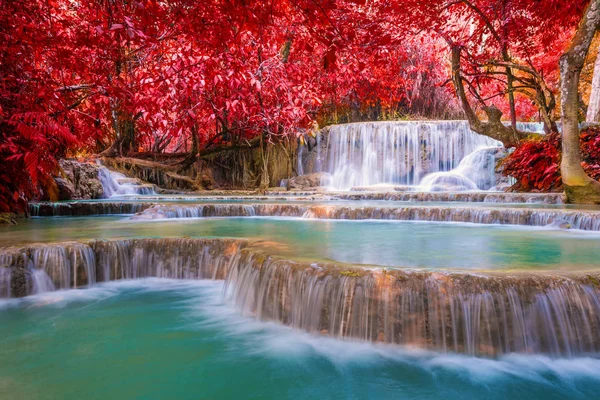 Cascada en la selva tropical (Tat Kuang Si Cascadas en Luang praba —  Fotos de Stock