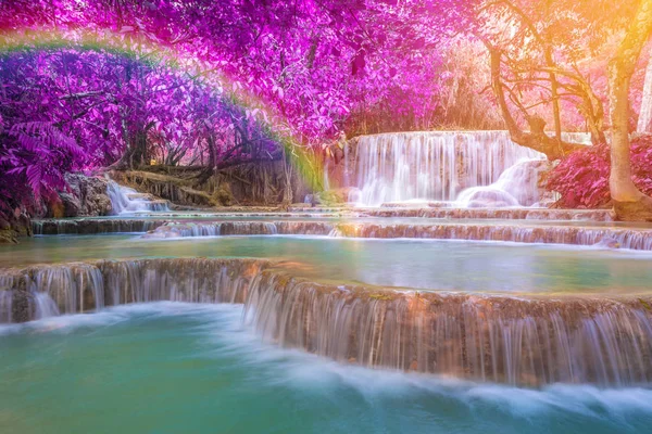Vattenfall i regnskogen (Tat Kuang Si Waterfalls på Luang Gitte — Stockfoto