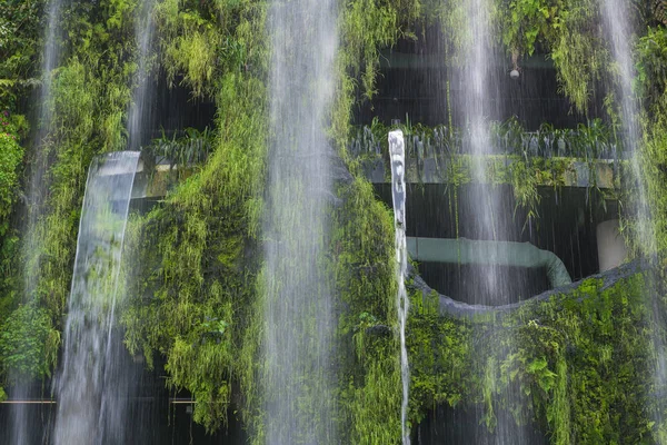 Genel Park bahçe içinde güzel şelale peyzaj — Stok fotoğraf