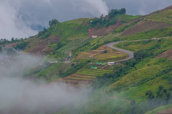 Bergen onder mist in de ochtend op Phu Tub Berk, Petchabun T — Stockfoto