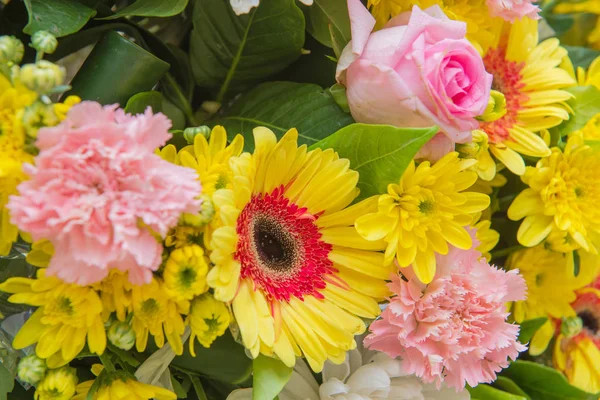 Schöne Blumen dekorativ oder blumig für Hintergrund — Stockfoto