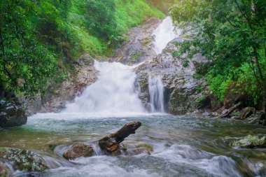 Milli Park yağmur ormanlarında güzel şelale, Tayland