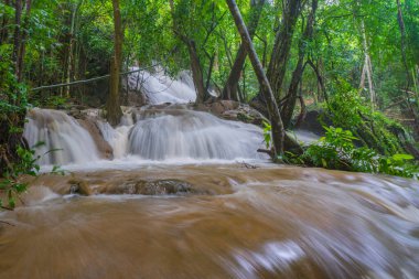 Pha Tad Şelaleleri 'ndeki şelale sahnesi Khue' deki yağmur ormanlarında