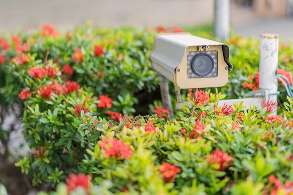 Cctv bewakingscamera en stedelijke video op openbaar park — Stockfoto