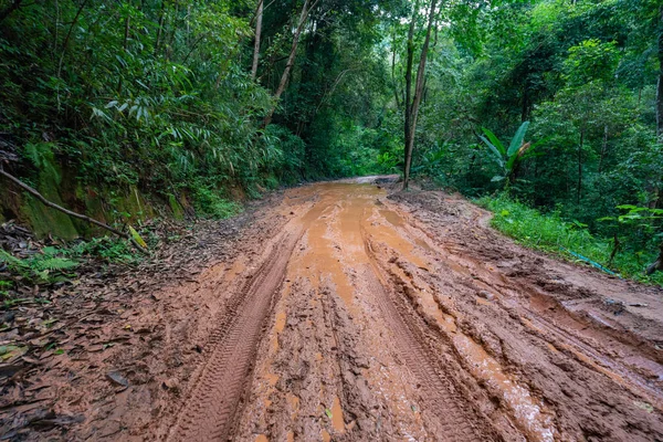 Weg nat modderig van achterland platteland in regenachtige dag — Stockfoto