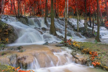 Pha Tad Şelaleleri 'ndeki şelale sahnesi Khue' deki yağmur ormanlarında