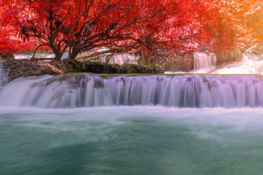 Derin yağmur ormanı ormanda Şelale (Thung Nang Khruan Waterfal