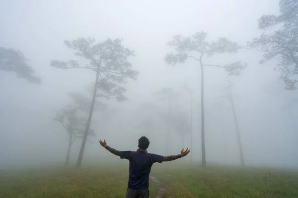 Человек прогулки пешком следовать тропинку по сосновому лесу в — стоковое фото
