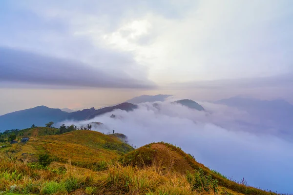 Landscape of Phucheefah mountain forest park in chiang rai provi — Stock Photo, Image