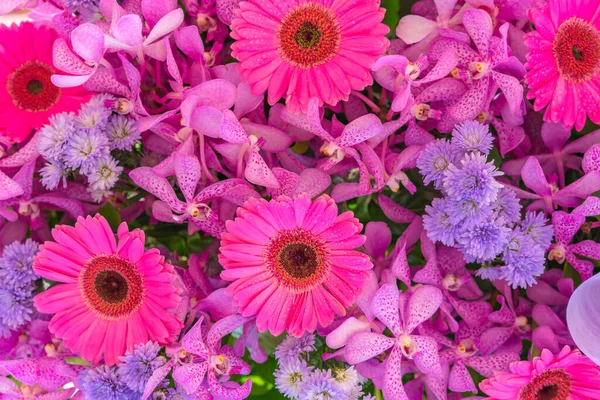 Blumenhintergrund und verschiedene Blumen oder eine Reihe von Dahlien, Gerbera, — Stockfoto