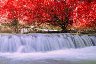 Derin yağmur ormanlarında şelale (Thung Nang Khruan Şelalesi) Tayland.