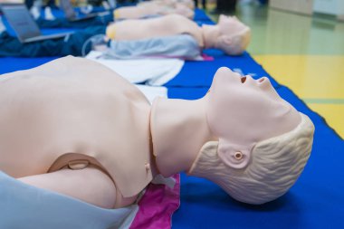 modeli Cpr eğitim sınıfında tıbbi için kukla.
